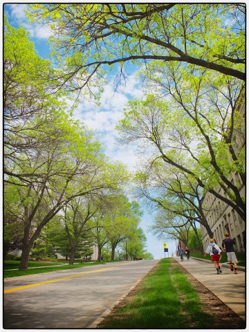Taken while hiking up Washington St. 